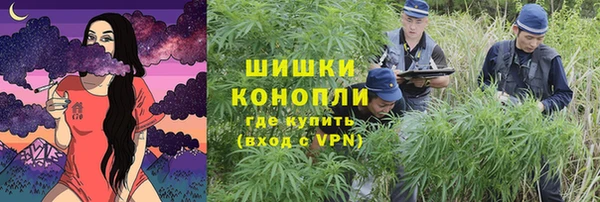 твердый Ростов