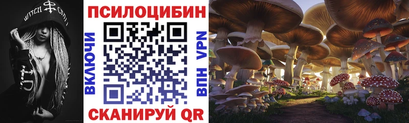 Псилоцибиновые грибы прущие грибы  Белово 