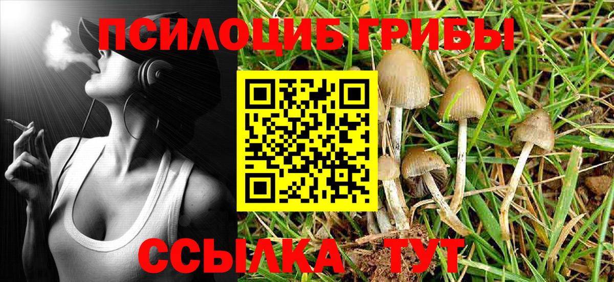 Псилоцибиновые грибы ЛСД Белово