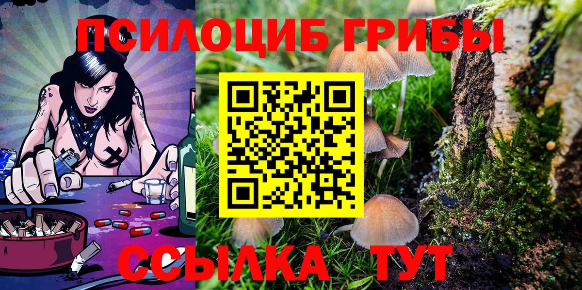 Белово  Псилоцибиновые грибы Psilocybe  продажа наркотиков  Вход с VPN 